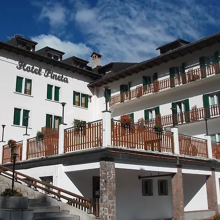 酒店 Pineta 法尔西德