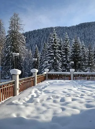 Pineta 3* Falcade