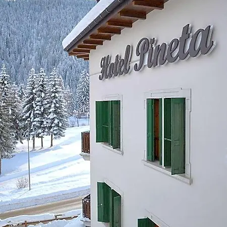 Otel Pineta Falcade