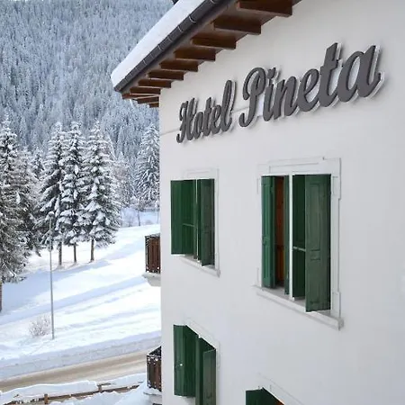 Отель Pineta 3*